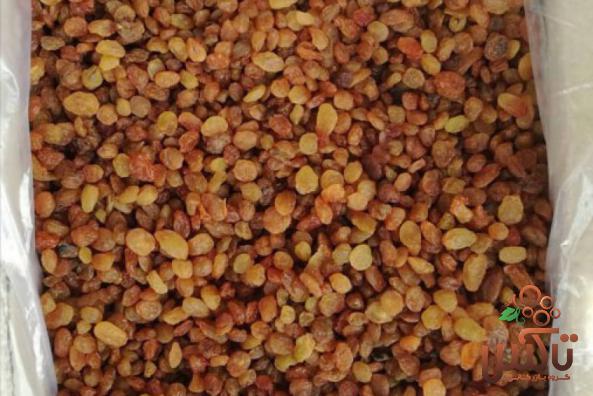 توزیع مستقیم کشمش انگور عسگری به قیمت خرید